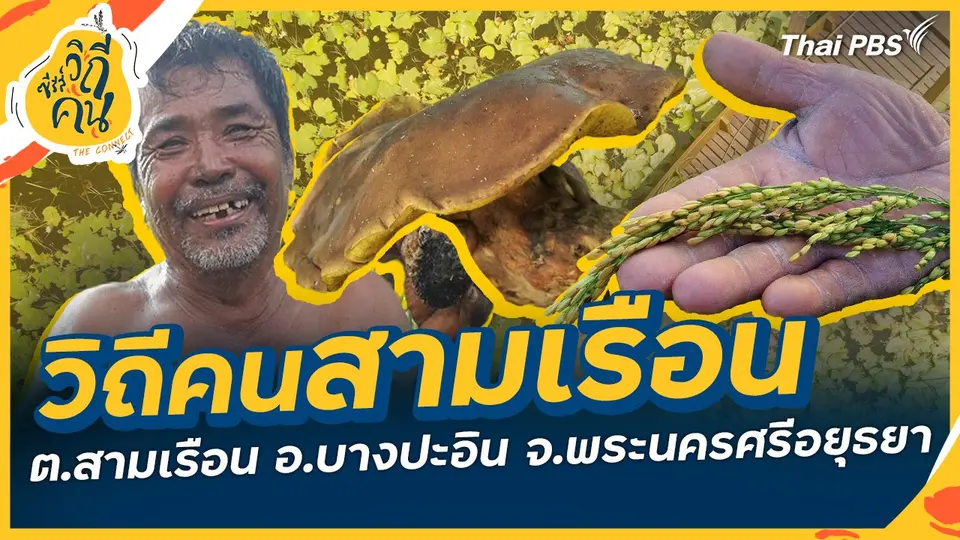 ซีรีส์วิถีคน