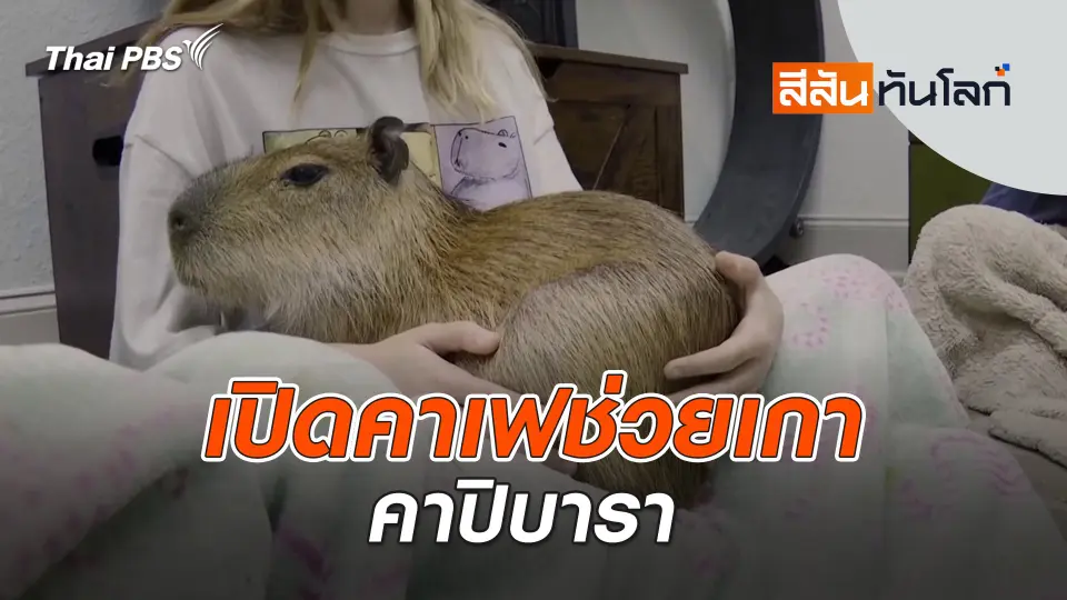 สีสันทันโลก