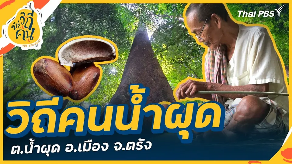 ซีรีส์วิถีคน