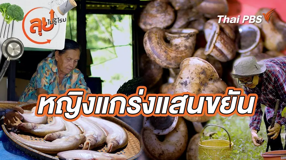 หญิงแกร่งแสนขยัน