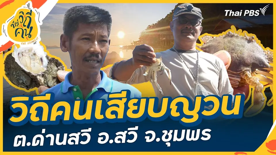 ซีรีส์วิถีคน