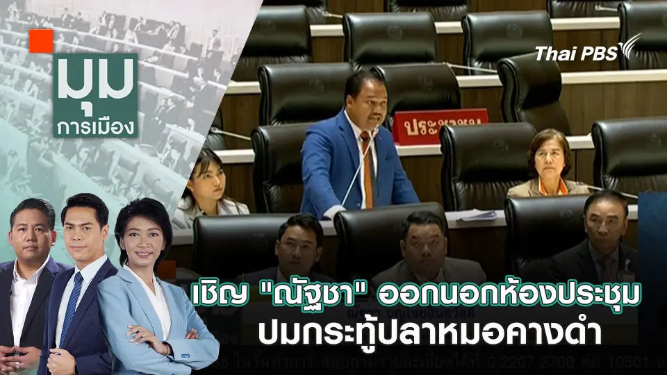 มุมการเมือง