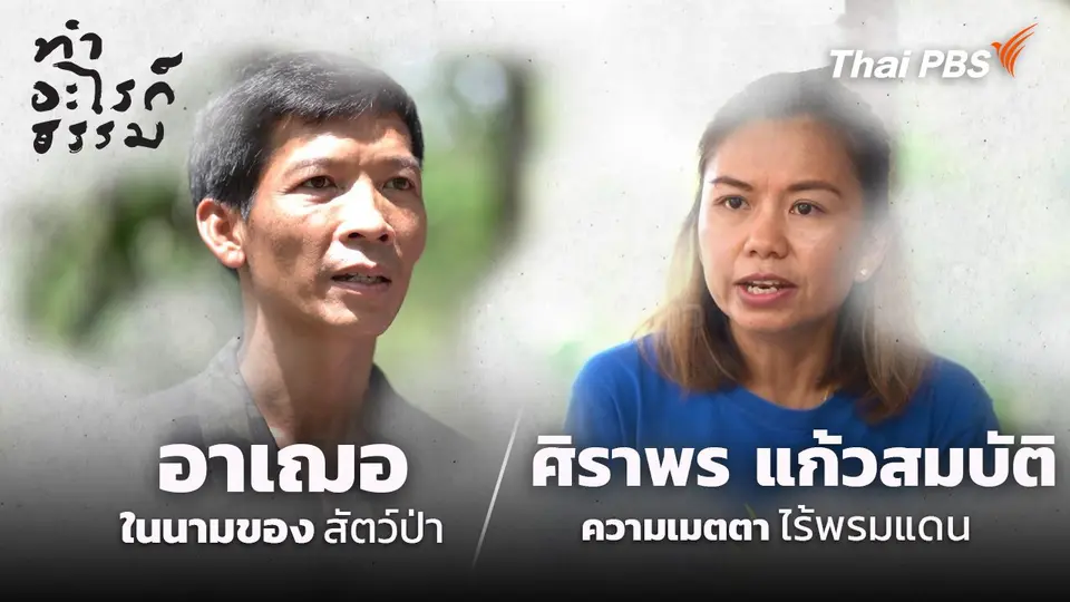 “อาเฌอ” ในนามของสัตว์ป่า และ “ศิราพร แก้วสมบัติ” ความเมตตาไร้พรมแดน