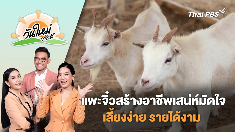 วันใหม่วาไรตี้