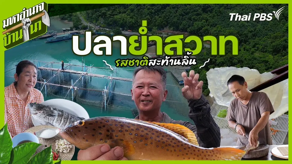 ปลาย่ำสวาท รสชาติสะท้านลิ้น