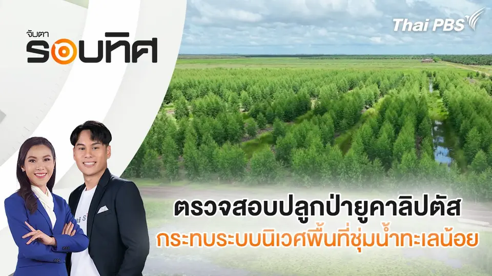 จับตารอบทิศ