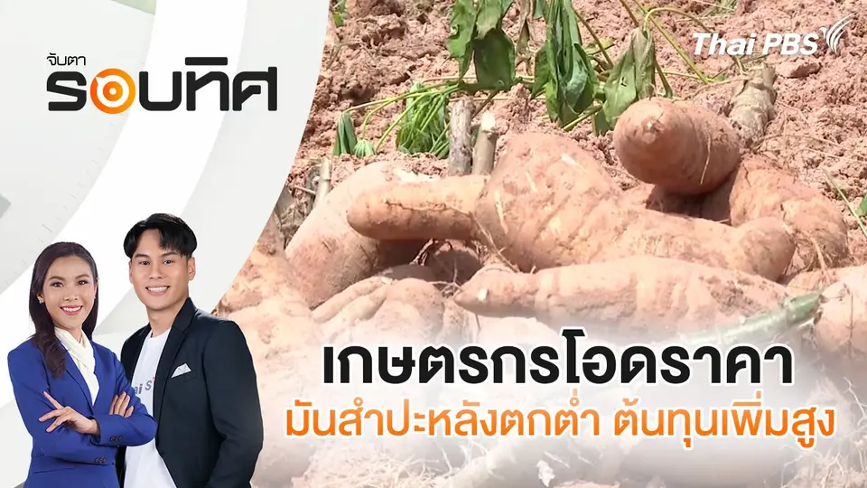 จับตารอบทิศ