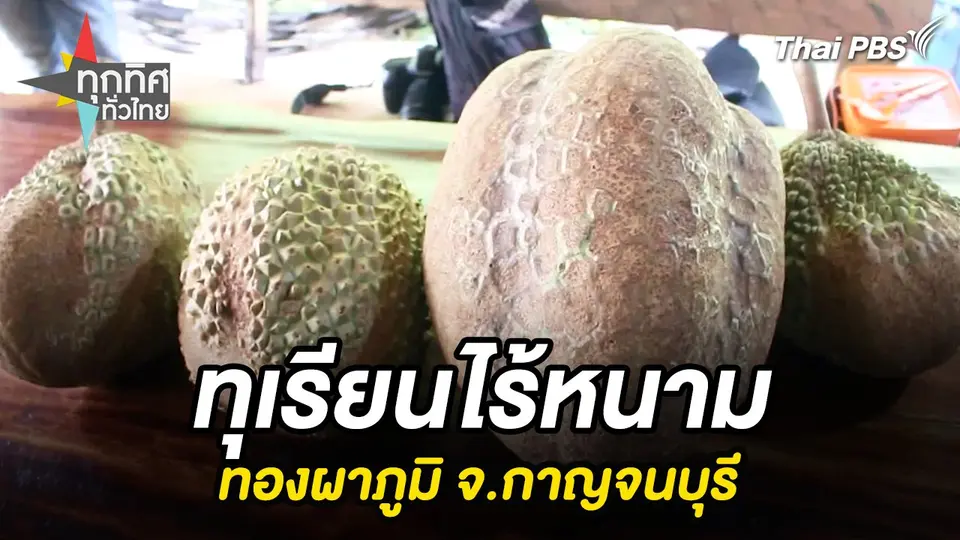 ทุกทิศทั่วไทย