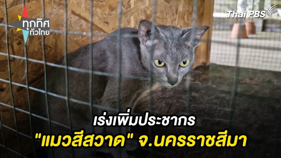 ทุกทิศทั่วไทย