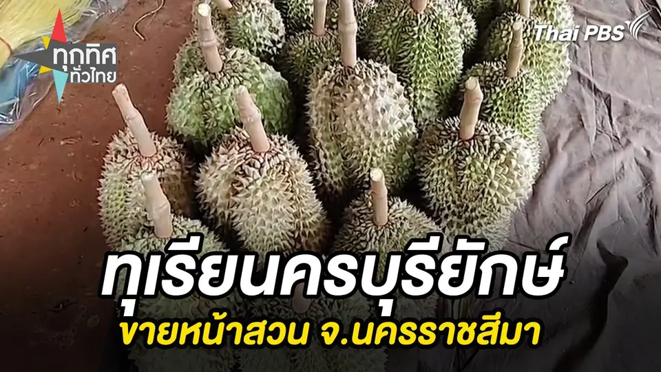 ทุกทิศทั่วไทย