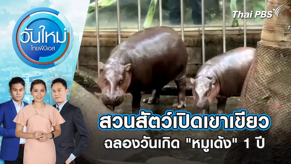วันใหม่  ไทยพีบีเอส