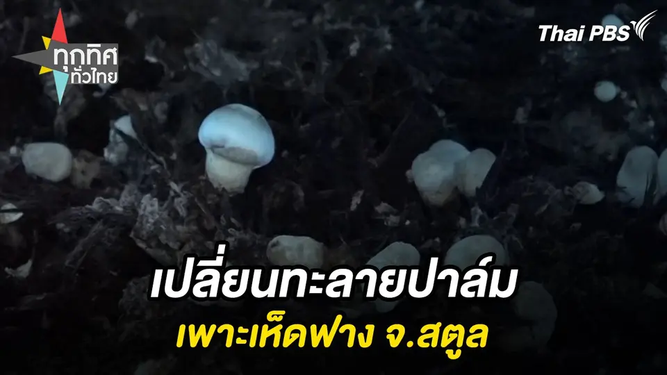 ทุกทิศทั่วไทย