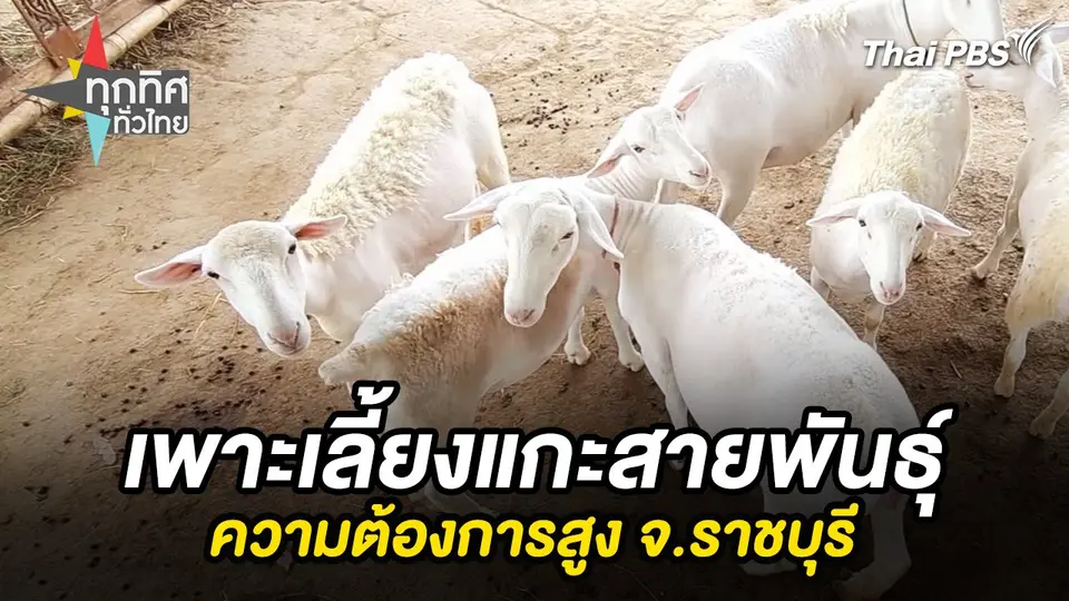 ทุกทิศทั่วไทย
