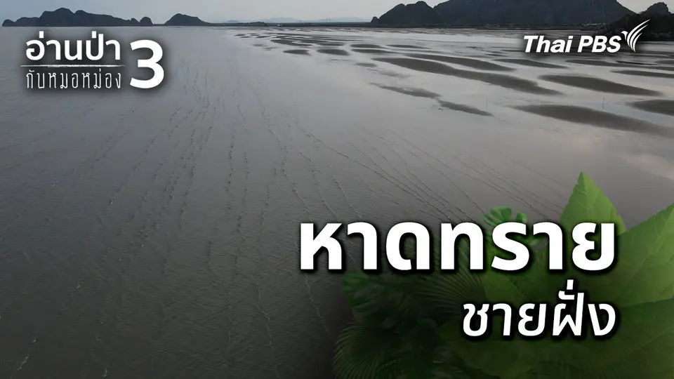 หาดทรายชายฝั่ง