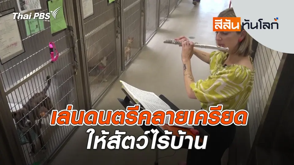 เล่นดนตรีคลายเครียดให้สัตว์ไร้บ้าน | 2 ส.ค. 68