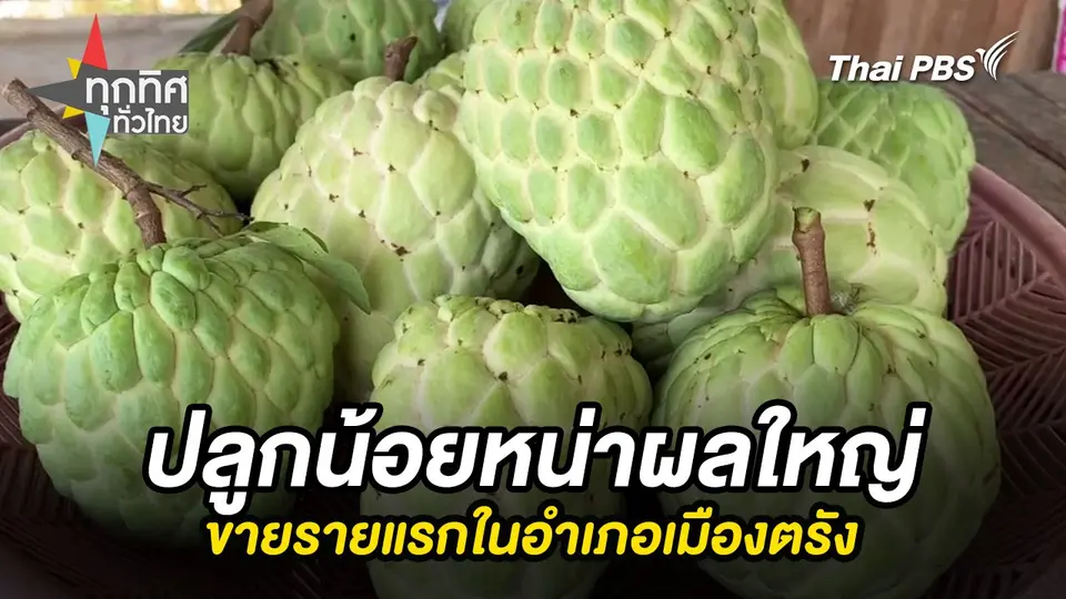 ทุกทิศทั่วไทย