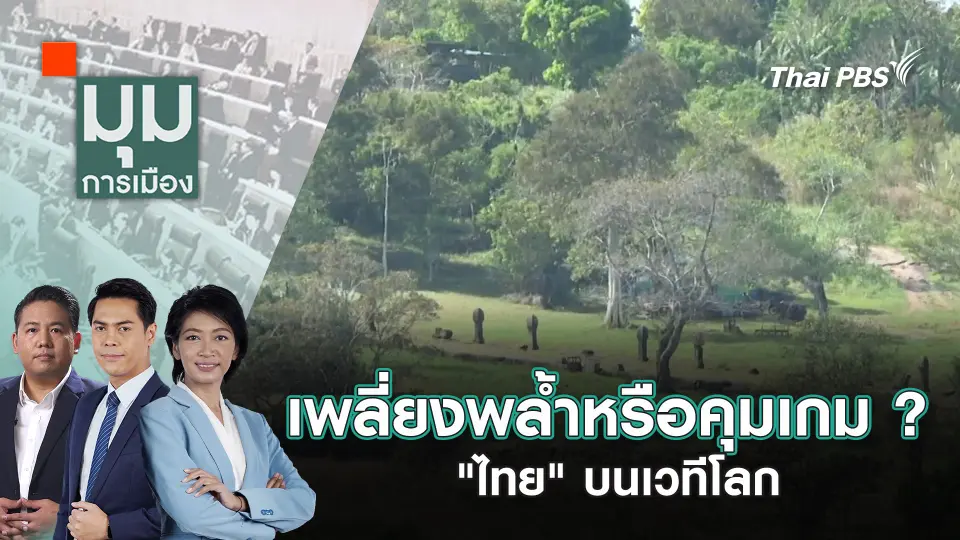 มุมการเมือง