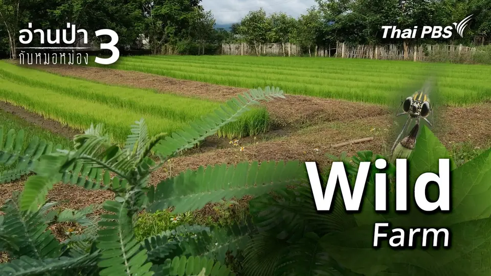 Wild Farm