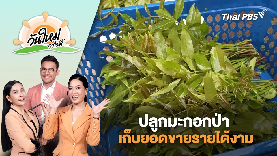 วันใหม่วาไรตี้