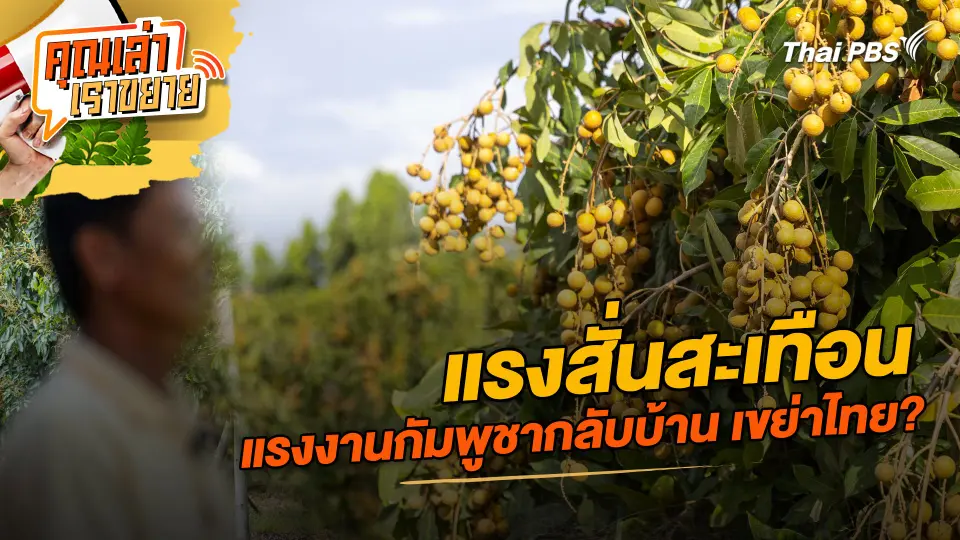 คุณเล่า เราขยาย