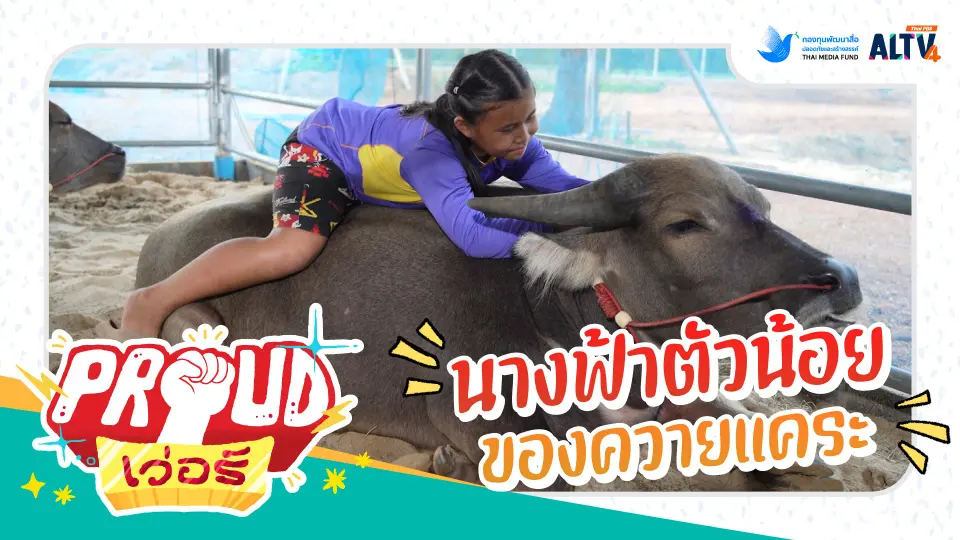 นางฟ้าตัวน้อยของควายแคระ