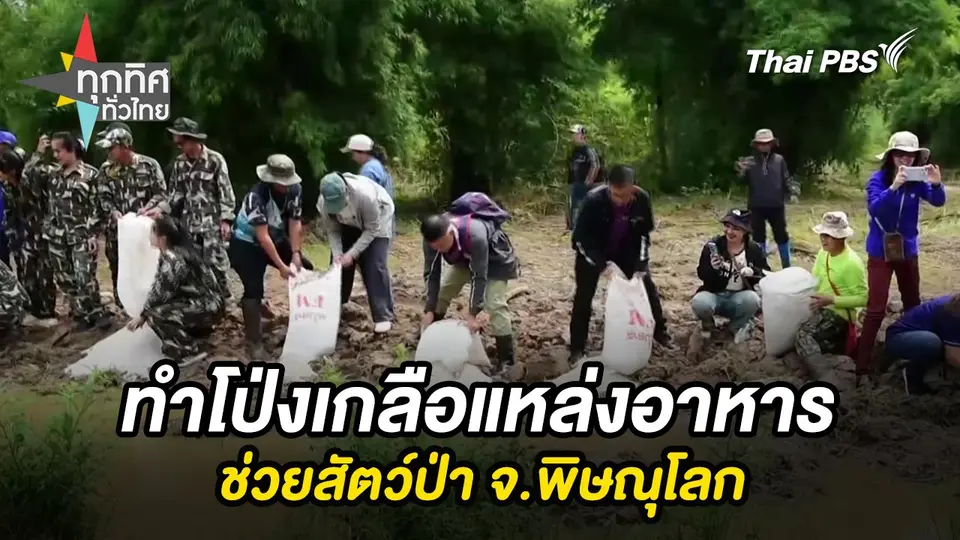ทุกทิศทั่วไทย