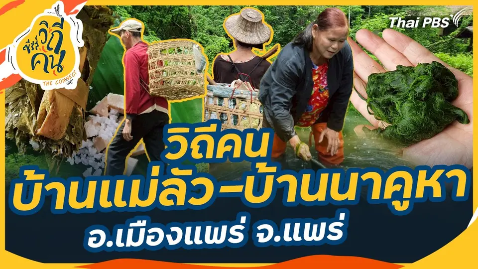 วิถีคนบ้านแม่ลัว-บ้านนาคูหา อ.เมืองแพร่ จ.แพร่
