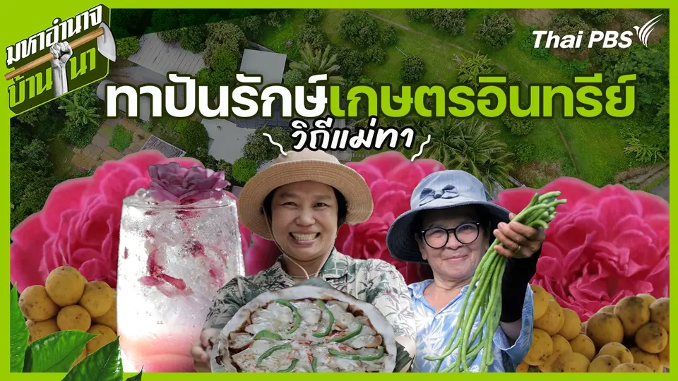 ทาปันรักษ์ เกษตรอินทรีย์วิถีแม่ทา