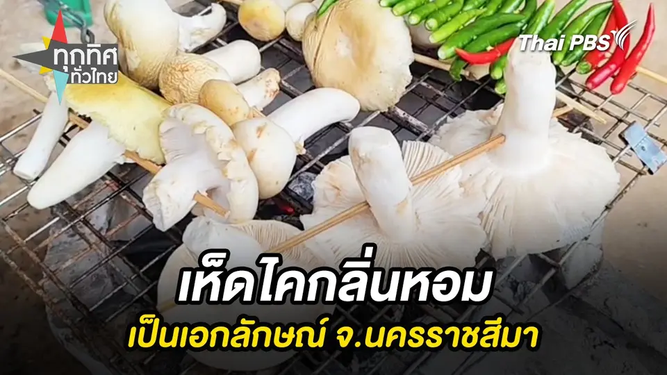 ทุกทิศทั่วไทย