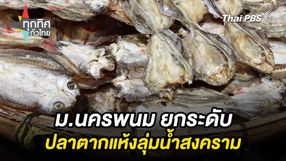 ทุกทิศทั่วไทย