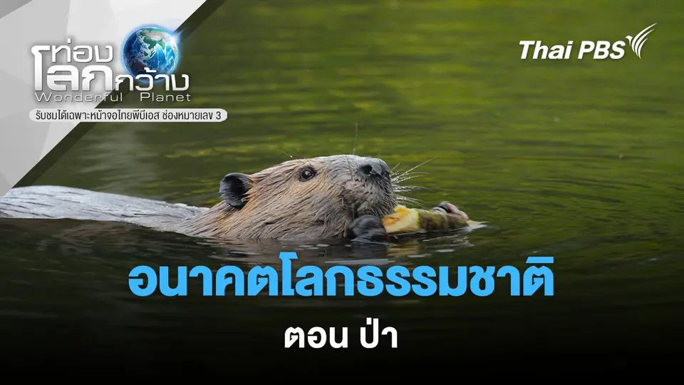 ท่องโลกกว้าง