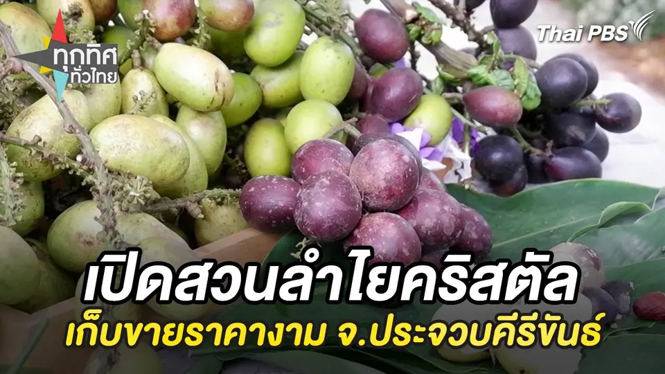 ทุกทิศทั่วไทย