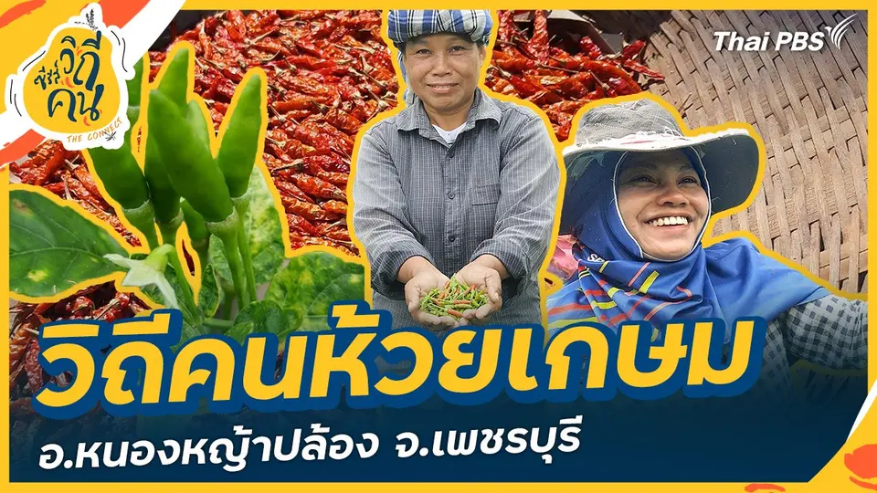 ซีรีส์วิถีคน