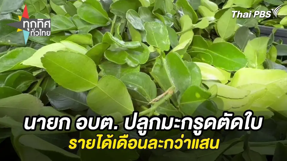 ทุกทิศทั่วไทย