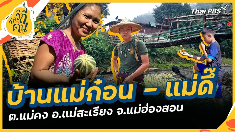 ซีรีส์วิถีคน