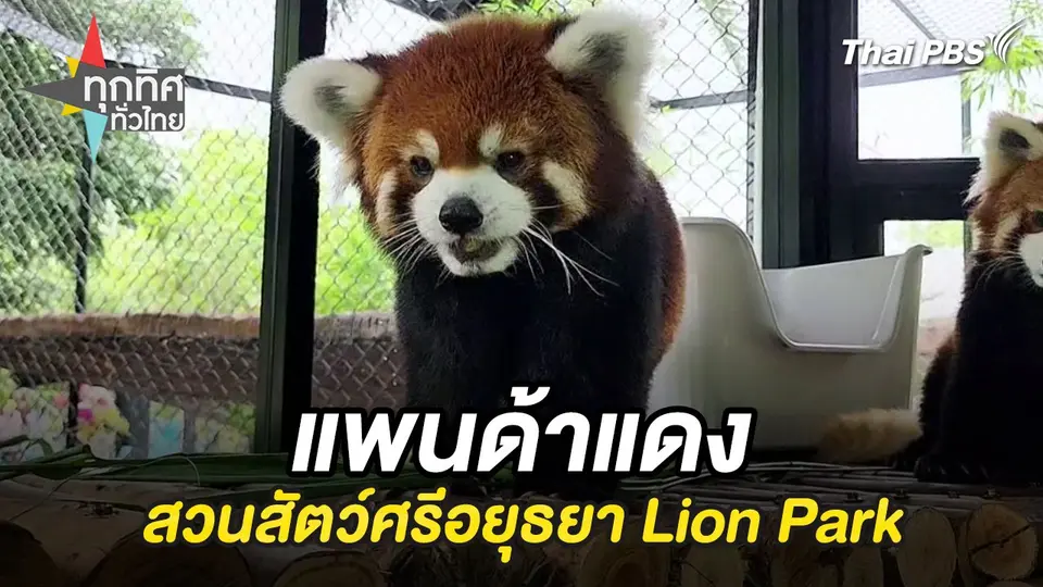 ทุกทิศทั่วไทย