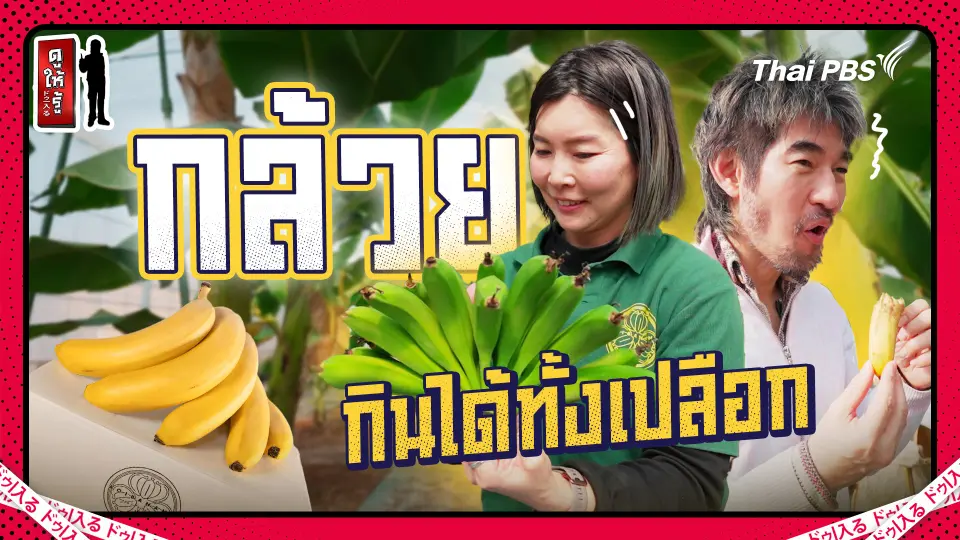 ดูให้รู้ Dohiru