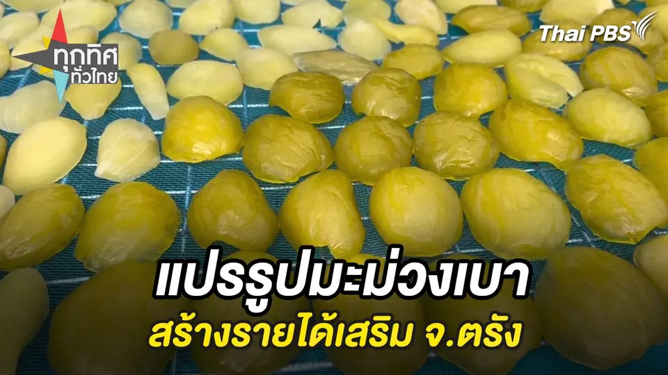 ทุกทิศทั่วไทย
