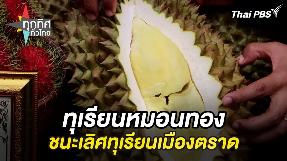 ทุกทิศทั่วไทย