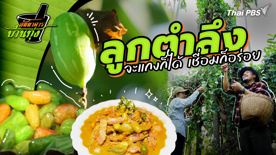 ลูกตำลึง