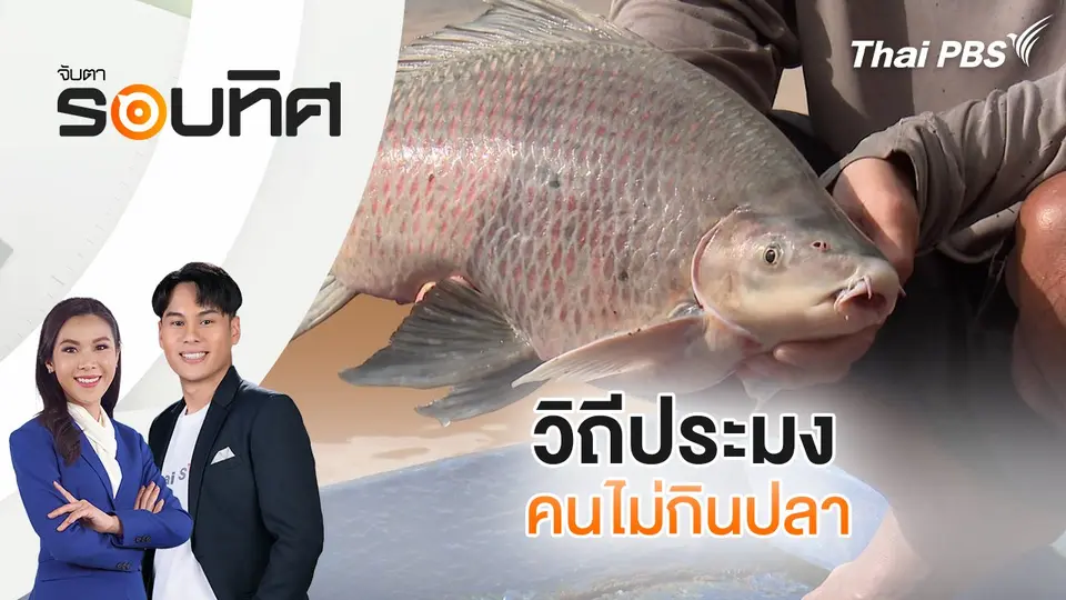 จับตารอบทิศ