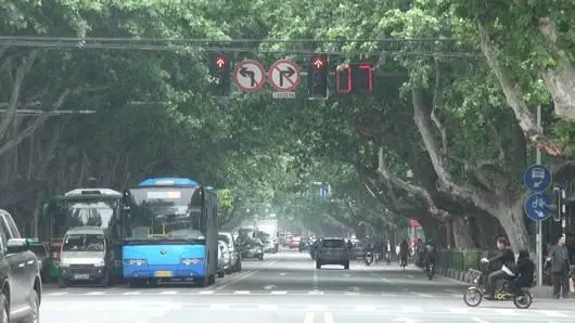 หนังพาไป