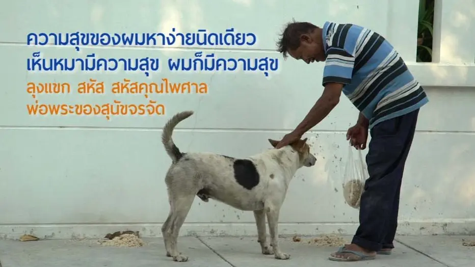 ลุงแขก “พ่อพระของสุนัขจรจัด”