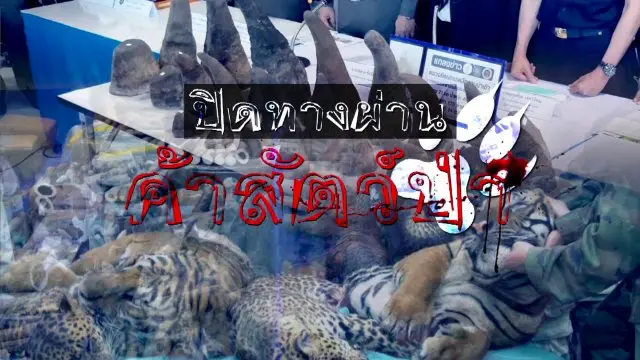 ปิดทางผ่านค้าสัตว์ป่า