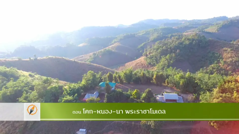โคก-หนอง-นา พระราชาโมเดล