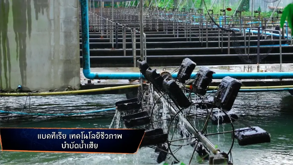 จุลินทรีย์บำบัดน้ำ