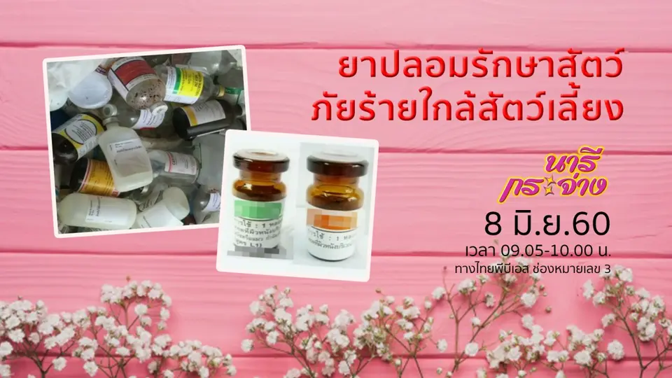 ยาปลอมรักษาสัตว์ ภัยร้ายใกล้สัตว์เลี้ยง, ลุยน้ำท่วมขัง...ระวังโรคฉี่หนู!!