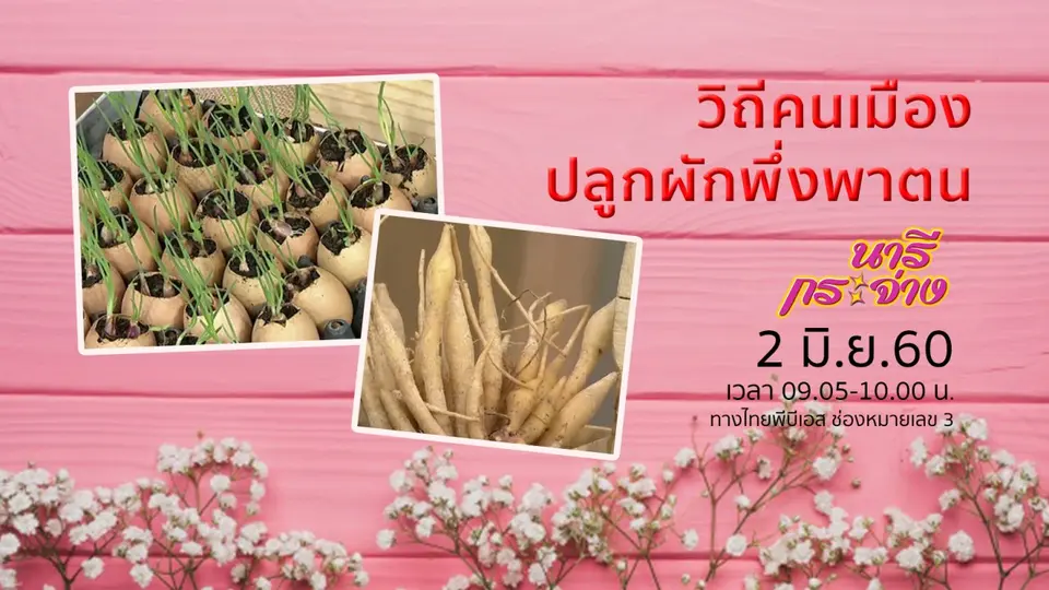จัดการ "ขยะไขมัน" ป้องกันท่อตันและน้ำท่วม, วิถีคนเมือง ปลูกผักพึ่งพาตน