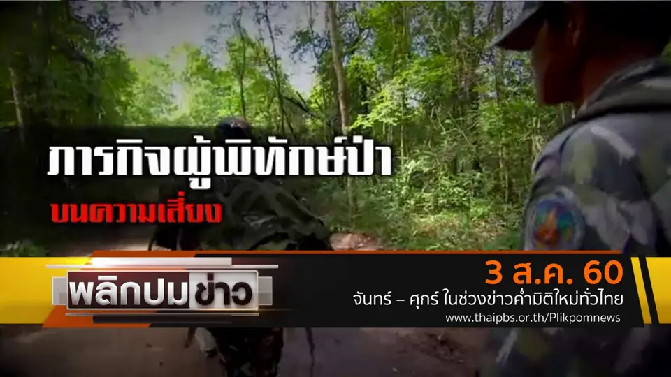 ภารกิจผู้พิทักษ์ป่าบนความเสี่ยง