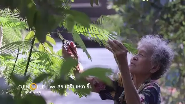สุข-เศร้า-เหงา-ยิ้ม